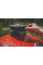 Керамічний вугільний гриль Kamado Joe Big Joe II Stand-Alone