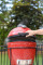Керамічний вугільний гриль Kamado Joe Jr. Red