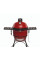 Керамічний вугільний гриль Kamado Joe Classic Joe II