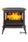 Піч камін чавунна KAWMET Premium ATHENA (12,3 kW) EKO